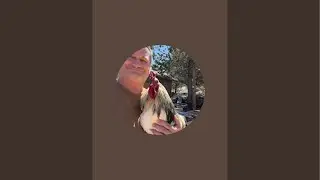 Turkey cleaning chicken coop w/ Daddy 🤠❤️🔥🥰