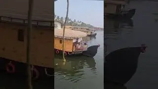 |Boat housela🛳️🛳️|pohalama #alappuzha|kerala|