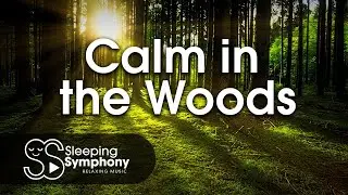Calm in the Woods (100 % Relaxing Music, Sleep Well, Stress Relief).