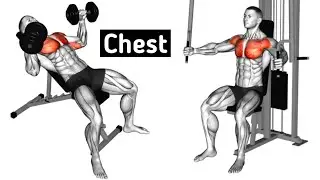 Best Chest Workout At Gym |