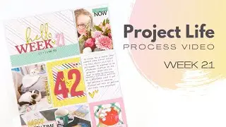 Project Life Process Video // Week 21, 2023 // Christmas in July