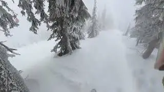 Big White Black Forest under the lift