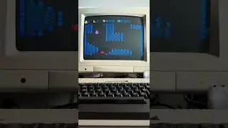 Chased (Atari 8-bit computers)