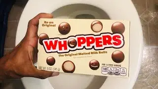Will it Flush? - Whoppers