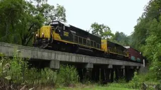Watco's Blue Ridge Southern Railroad [HD]