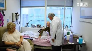 A doctor's 55-year crusade against cancer