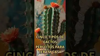 CINCO TIPOS DE CACTOS PERFEITOS PARA TER EM CASA #jardim #plantas
