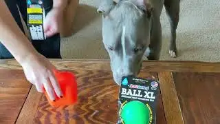 Ruff Dawg Customer Review