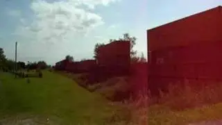 CP 153 at Melrose Diamond