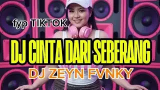 DJ CINTA DARI SEBRANG fyp tiktok