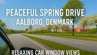 Peaceful Spring Drive in Aalborg, Denmark | Skalborg & City Syd Car Window Views in 4K