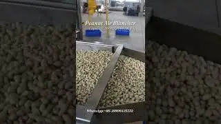 Peanut Air Blancher Peanut Air Blanching Machine Peanut Blanching machine by Air