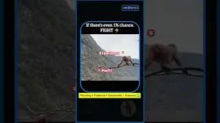 Share Market Experiance Meme