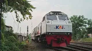 【4K60P】HUNTING SORE!! MEMENUNGGU KA MOTIS UTARA BERANGKAT!! | Hunting Sore di PJL 154 Karawang