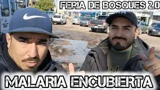 FERIA DE BOSQUES FLORENCIO VARELA 2.0