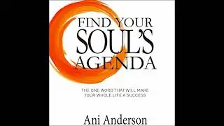 Find Your Soul's Agenda: The one word that will make your whole life a success by Ani Anderson