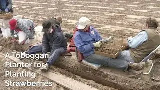 A Toboggan Planter for Planting Strawberries