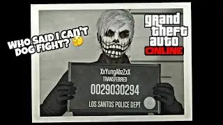 Gta 5 Online: Who Said I Can't Dog Fight? 🤔