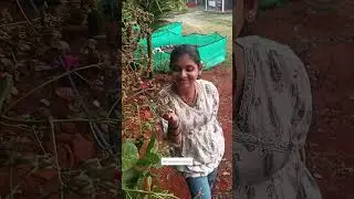 सुंदर आठवणींसाठी परफेक्ट ठिकाण #KonkanVillageVlog #MotivationalStory  #VillageLife