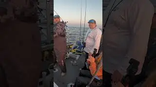 Lost King Salmon at the Boat! | Moonshine Agent Orange Spoon | Lake Michigan Trolling