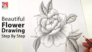 Beautiful Flowers Drawing with Pencil Shading | How To Draw flowers for Beginners Drawing