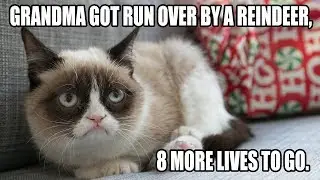 PicTube - 45 Funniest Grumpy Cat Memes Compilation