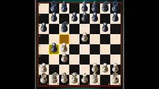 Human vs computer who will win (Chess YT)