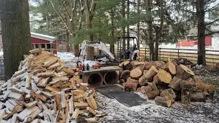 Firewood Logging in 5&deg;F