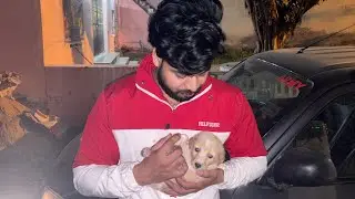 Bhaiya ka new puppy /first vlog 😂 #vlog #viral #firstvlog 