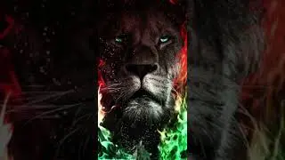 Legendary lion pictures