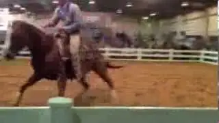 Lethal Playboy @ The Ekka 2013