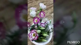 Engagement flower arrangement inspired of happiness