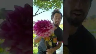 Как этот цветок может быть настоящим!?