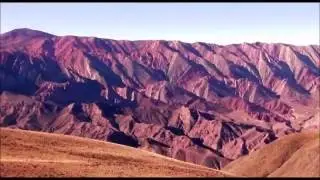 Cancion para el unico amigo