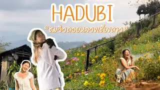 เชียงใหม่ ฮาดู่บิ แคมป์ปิ้ง เวียงแหง จ.เชียงใหม่ | นั่งรถไฟไปเชียงใหม่