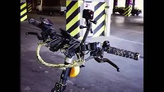 iSHOXS Cobra