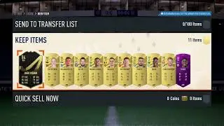 Future star essentials pack and Future star foundation pack Fifa 23