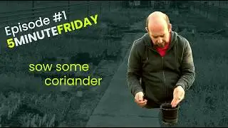 EP1 - Let's sow some Coriander #5MINUTEFRIDAY