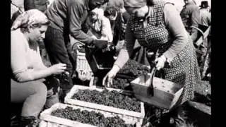 6.1.21  Industrialisation In Russia