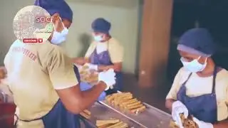 World's Most expensive bark   Cinnamon harvesting and processing   Cinnamon tree cultivation