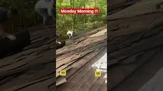 Roof replacement tear off install repair service Lex Park Pax River #entrepreneur #fyp #ytshorts