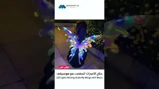 جناح الاميرات المضيء مع موسيقى LED Lights Moving Butterfly Wings With Music