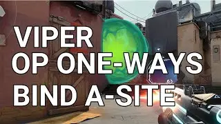 Best 2 VIPER ONE-WAYS on BIND A-Site