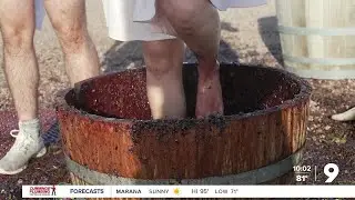 Southern Arizona wineries hoping for seasonal-visitor boost