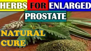 How Natural Herbs can Help Treat Enlarged Prostate | Prostate Health | Health Tips |