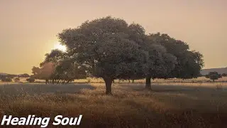 Classical music - Clarity Roaring Flames - Kent Wilson - Sweet Waves - TuneOne Music - Healing Soul