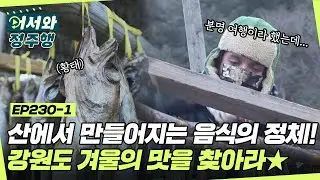 산에서 음식을 만든다고😲?! 먹박사 오스틴과 떠나는 한식 어벤져스의 강원도 여행★ l #어서와정주행​ l #MBCevery1 l EP.230-1