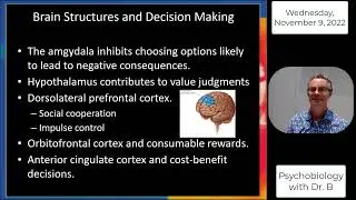PSYC 2070 Chapter 13 - Part 3 - Decision Making & Animal Intelligence
