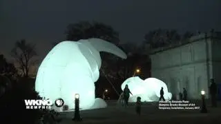 Intrude: Installation at the Brooks