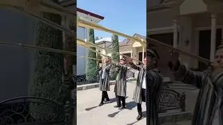 #uzbekistan #wedding #catering #decoration #party #plov_uz #subscribe